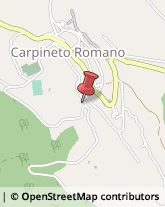 Pizzerie Carpineto Romano,00032Roma