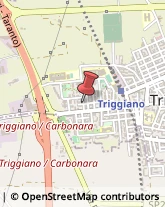 Ingegneri Triggiano,70019Bari