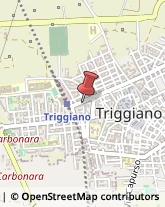 Bevande Analcoliche Triggiano,70019Bari