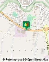 Oleifici - Macchine Bitonto,70032Bari