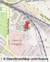 Biotecnologie Foggia,71121Foggia