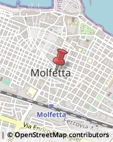 Spezie Molfetta,70056Bari