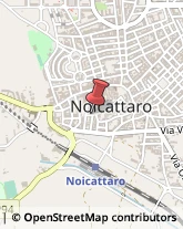 Ortofrutticoltura Noicàttaro,70016Bari