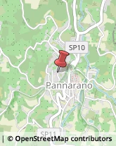 Fotografia - Studi e Laboratori Pannarano,82017Benevento