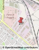 Elettrauto,71121Foggia