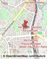 Elaborazione Dati - Servizio Conto Terzi Roma,00162Roma