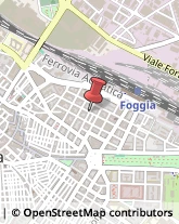 Agenti e Mediatori d'Affari Foggia,71100Foggia