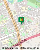 Consulenza Informatica,00155Roma