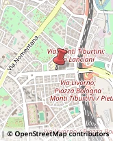Toner, Cartucce e Nastri Roma,00162Roma