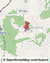 Autotrasporti Arpino,03033Frosinone