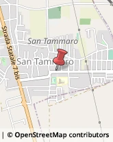 Panetterie San Tammaro,81050Caserta