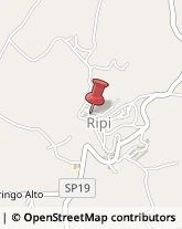 Leasing Ripi,03027Frosinone