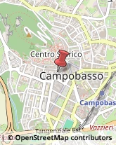 Animali Domestici - Toeletta Campobasso,86100Campobasso