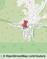 Oculisti - Medici Specialisti Rignano Garganico,71010Foggia