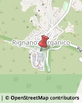 Aziende Agricole Rignano Garganico,71010Foggia