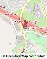 Pavimenti in Legno Roma,00133Roma