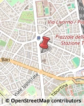 Sondaggi e Trivellazioni - Servizio Roma,00162Roma