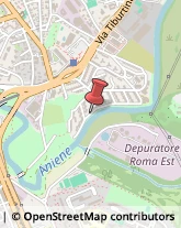 Agenzie di Animazione e Spettacolo Roma,00156Roma