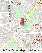 Tappeti Orientali e Persiani Roma,00162Roma