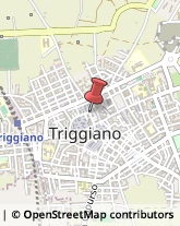 Leasing Triggiano,70019Bari