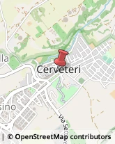 Pelli per Abbigliamento Cerveteri,00052Roma