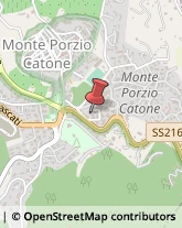 Istituti di Bellezza Monte Porzio Catone,00040Roma