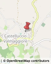 Cereali e Granaglie Castelluccio Valmaggiore,71020Foggia