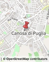Articoli Carnevaleschi e per Feste Canosa di Puglia,76012Barletta-Andria-Trani
