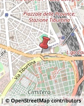 Agenzie di Vigilanza e Sorveglianza Roma,00100Roma