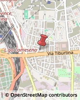Torrefazioni Caffè - Vendita al Dettaglio ed Esercizi Roma,00157Roma