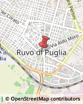 Autocarri Ruvo di Puglia,70037Bari