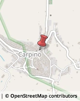 Cartolerie Carpino,71010Foggia