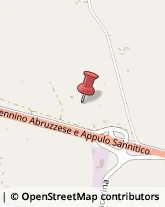 Aziende Agricole,71036Foggia