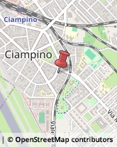 Recapito Pacchi e Lettere - Agenzie Ciampino,00043Roma