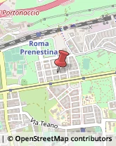 Casalinghi Roma,00177Roma