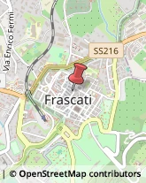 Amministrazioni Immobiliari Frascati,00044Roma