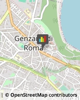 Rosticcerie e Salumerie Genzano di Roma,00045Roma