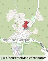 Autotrasporti Rignano Garganico,71010Foggia