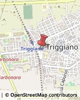 Taxi Triggiano,70019Bari