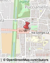 Pubblicità Diretta Caserta,81100Caserta