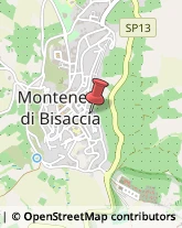 Scuole e Corsi di Lingua Montenero di Bisaccia,86036Campobasso