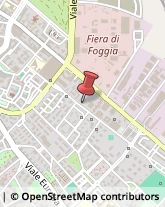 Consulenza Commerciale Foggia,71122Foggia