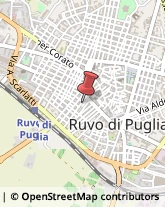 Tetti e Coperture Edili Ruvo di Puglia,70037Bari