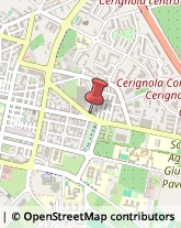 Sartorie Cerignola,71042Foggia