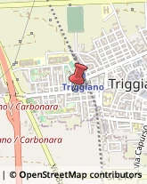 Farmacie Triggiano,70019Bari