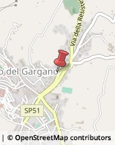 Consulenza Commerciale Vico del Gargano,71018Foggia
