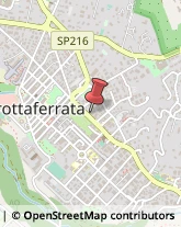 Alimentari, Vini, Bevande e Dolciari - Agenti e Rappresentanti Grottaferrata,00046Roma