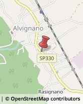 Pelletterie - Dettaglio Alvignano,81012Caserta