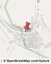 Alimentari Carpino,71010Foggia