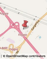 Aziende Agricole Foggia,71121Foggia